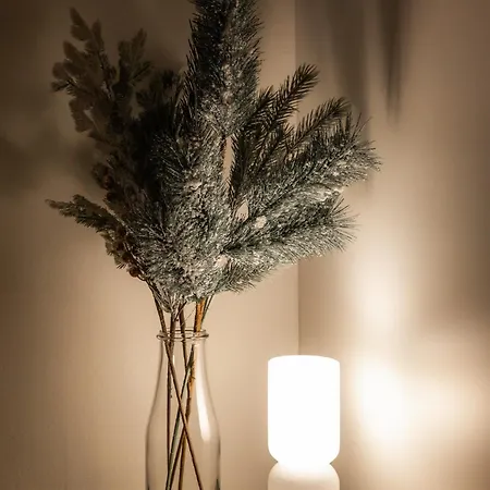 White Elegant By The River *