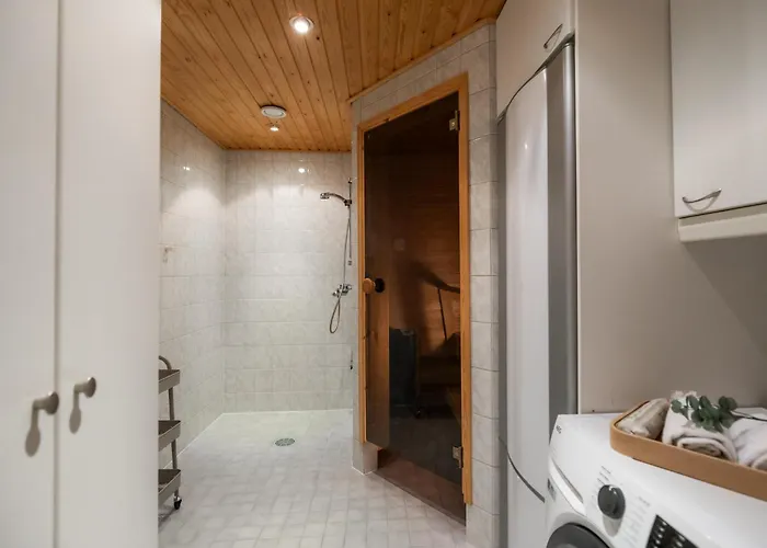 White Elegant By The River * Rovaniemi