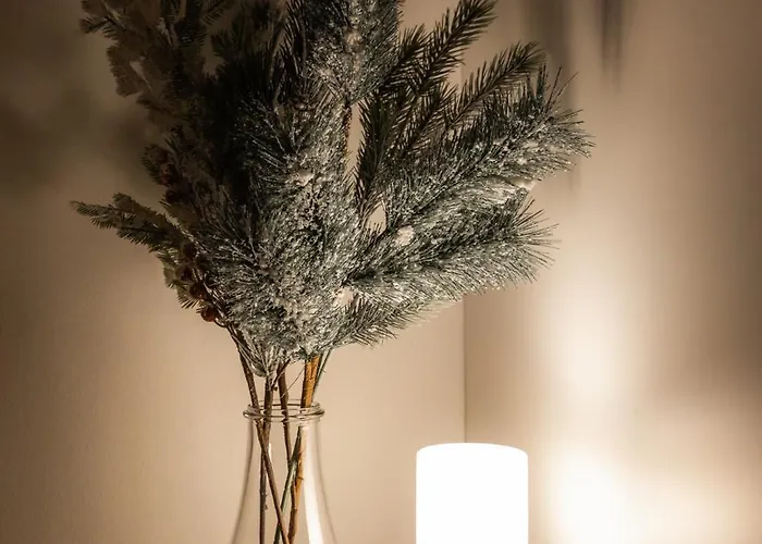 White Elegant By The River *